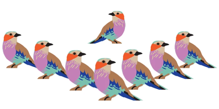 Wingspan: Player Bird Token Sets (Meeple Source) - Image 49